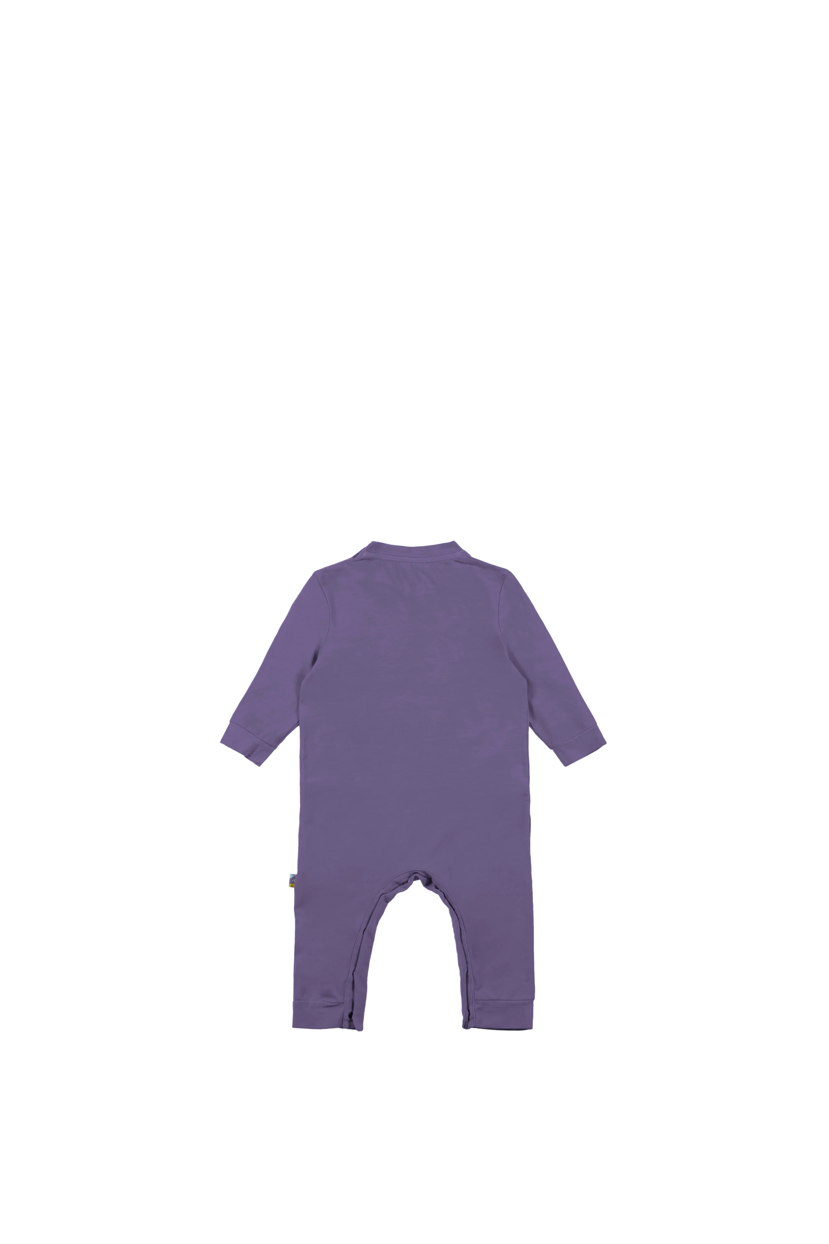 BUNNY - Image 7