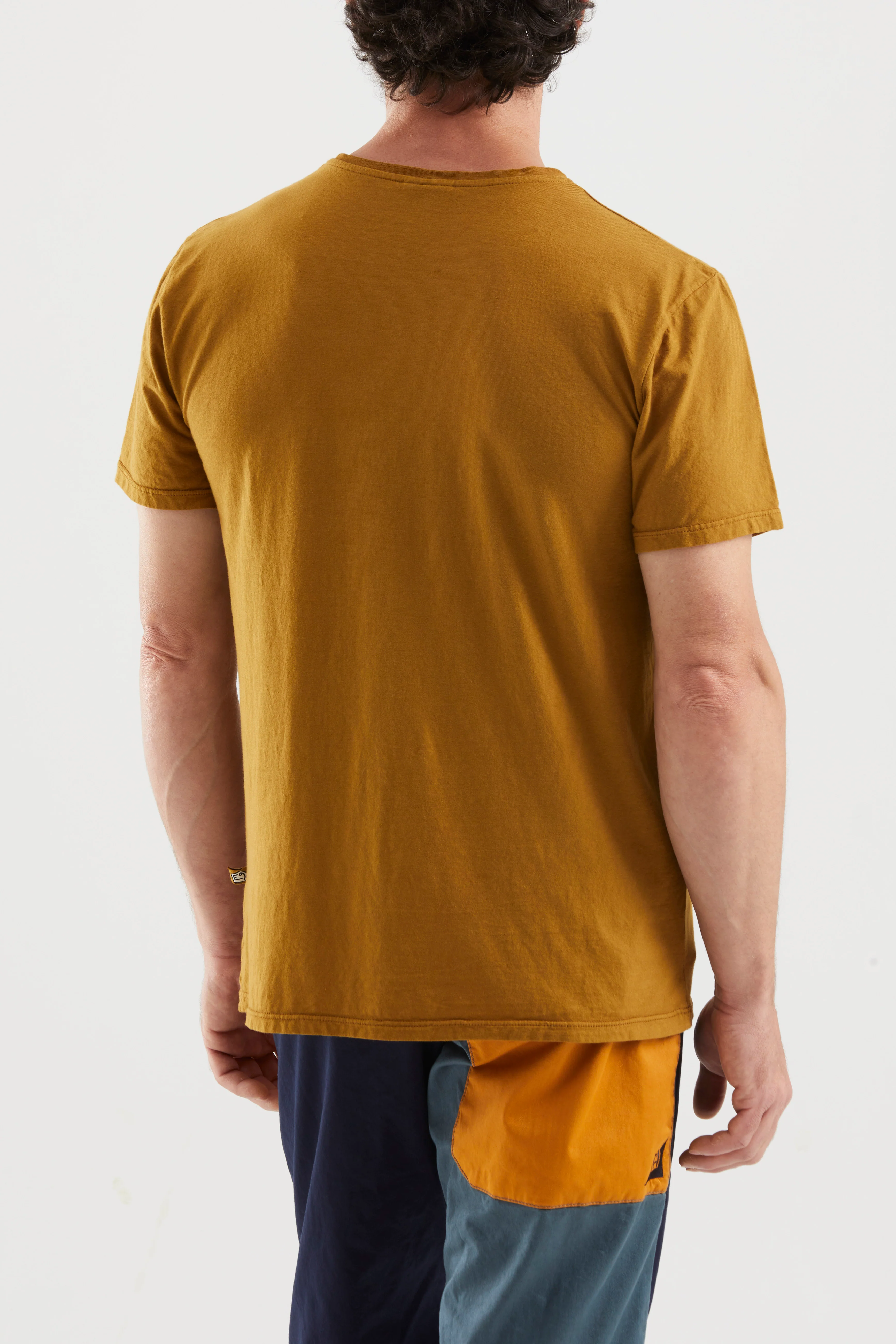 GOLDEN - Image 3