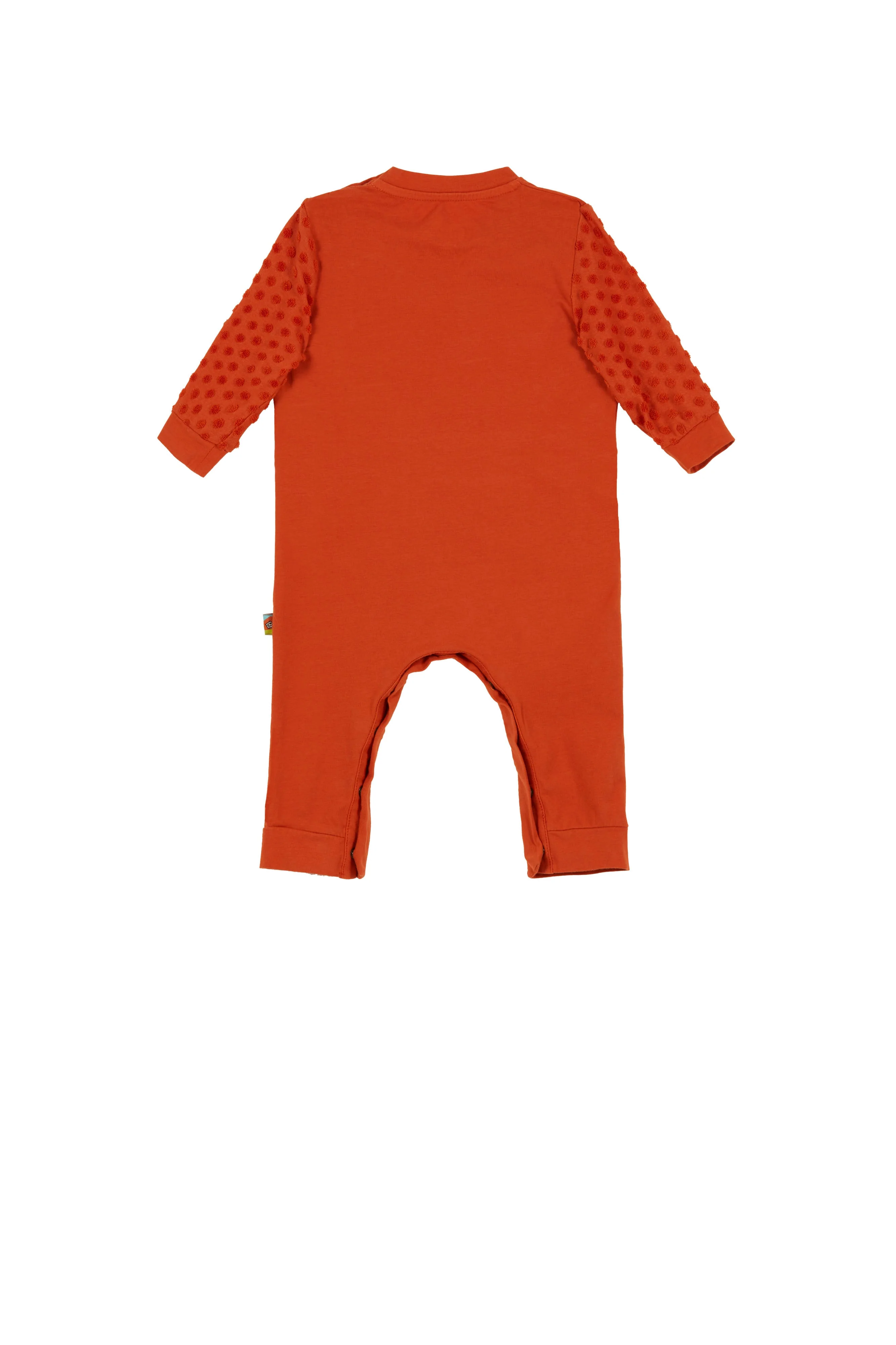 PEBBLY - Image 3