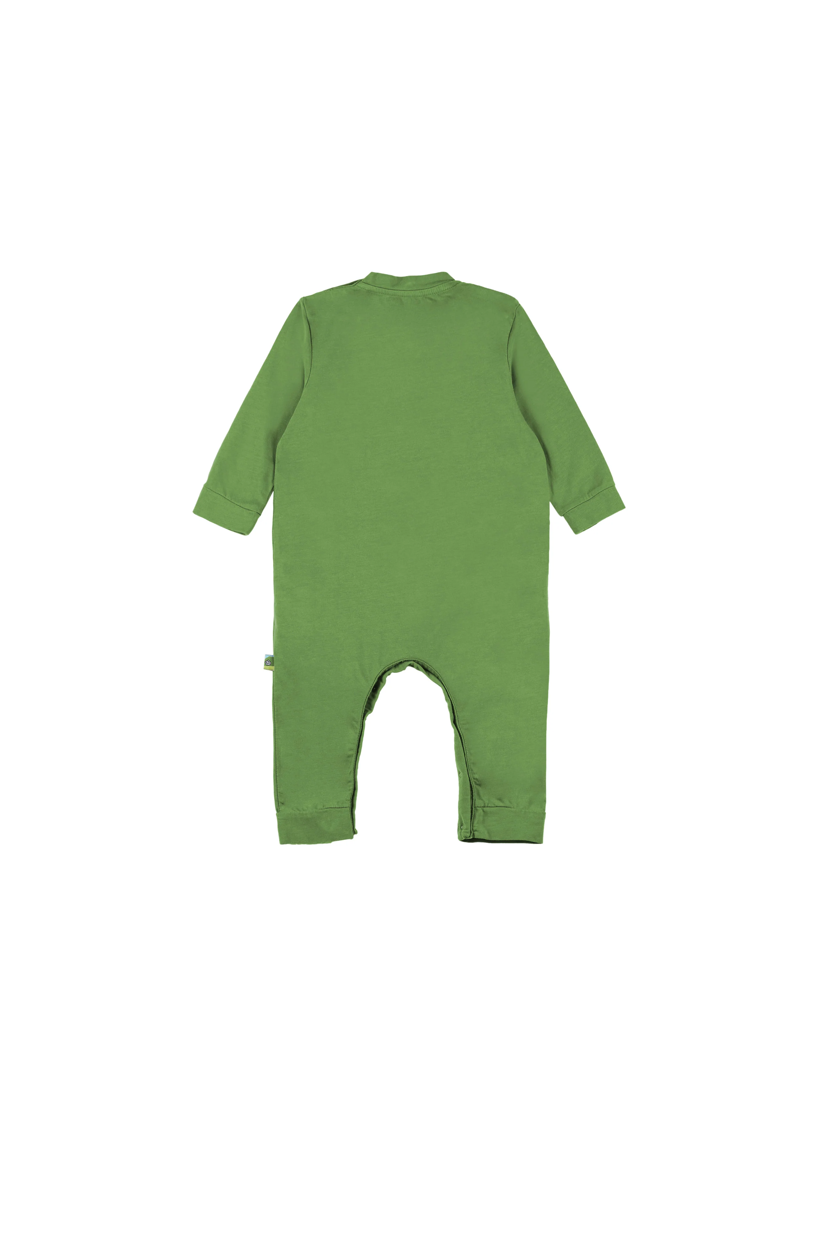 BIBE - Image 4