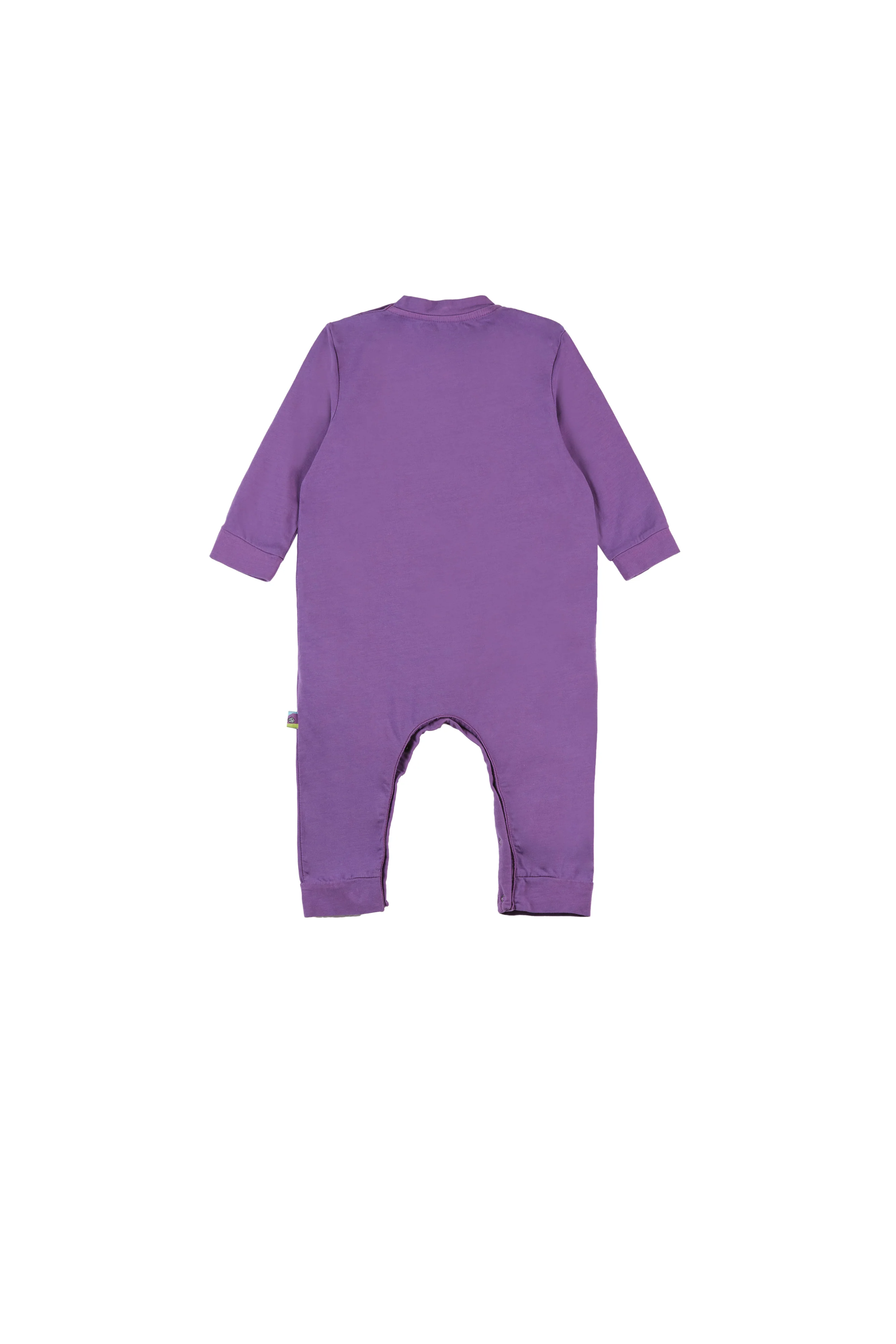 BIBE - Image 6